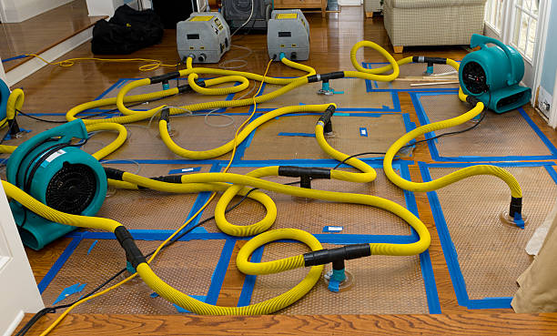 Professional Structural Drying And Dehumidification technician working in Crystal Lake, CT